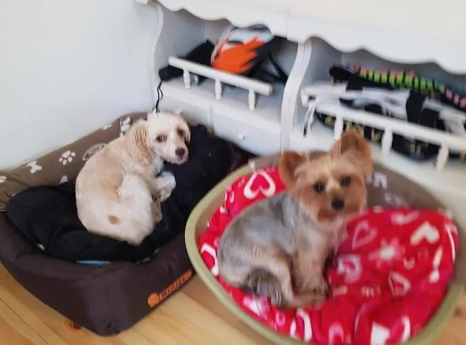 Rum i privatbostad Csaladi Haz