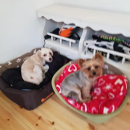 Séjour chez l'habitant Csaladi Haz